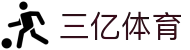 三亿(集团)体育科技有限公司官网
